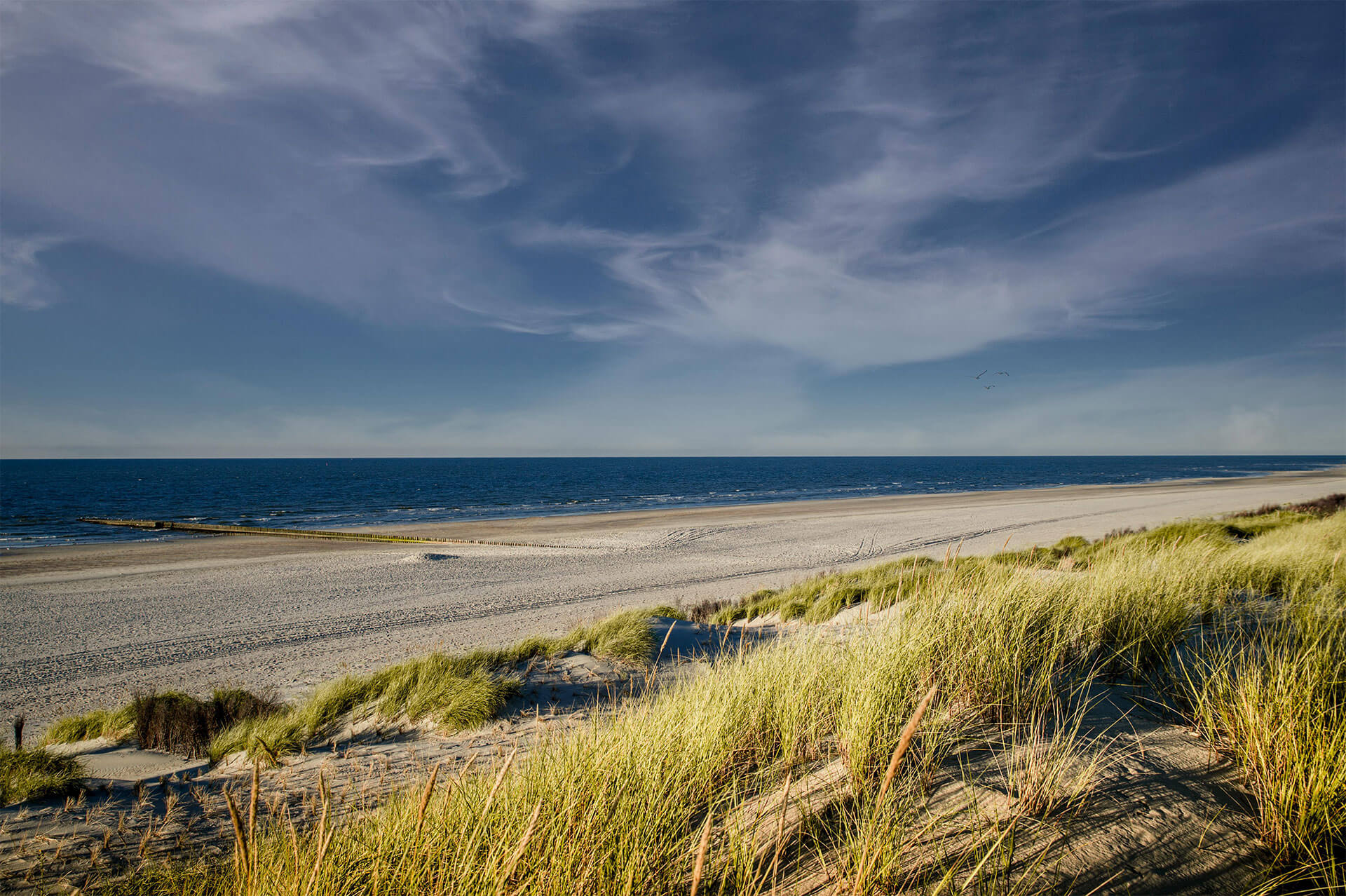 Ferienhaus Am Meer Norderney